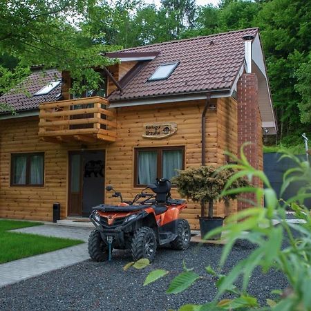 Bear'S Lair Chalet Порумбаку-де-Сус Экстерьер фото