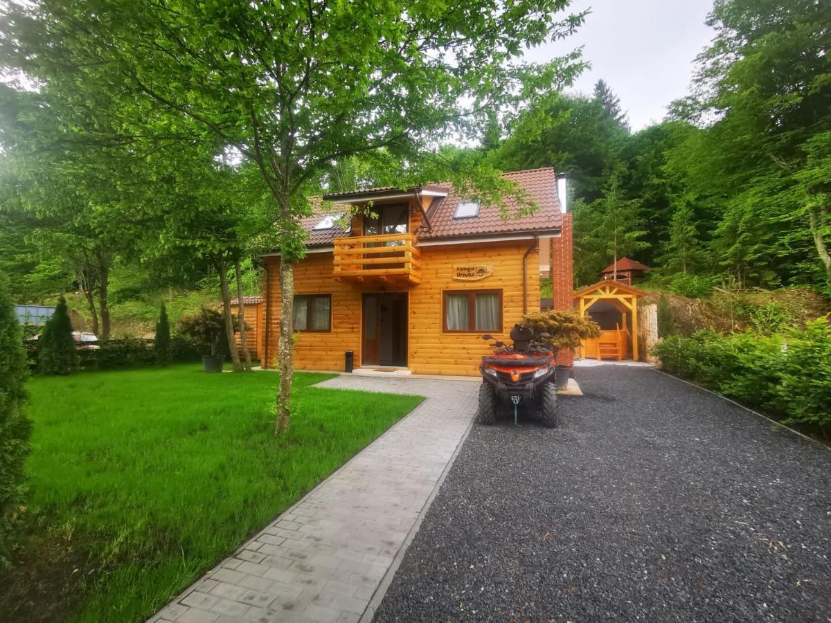 Bear'S Lair Chalet Порумбаку-де-Сус Экстерьер фото